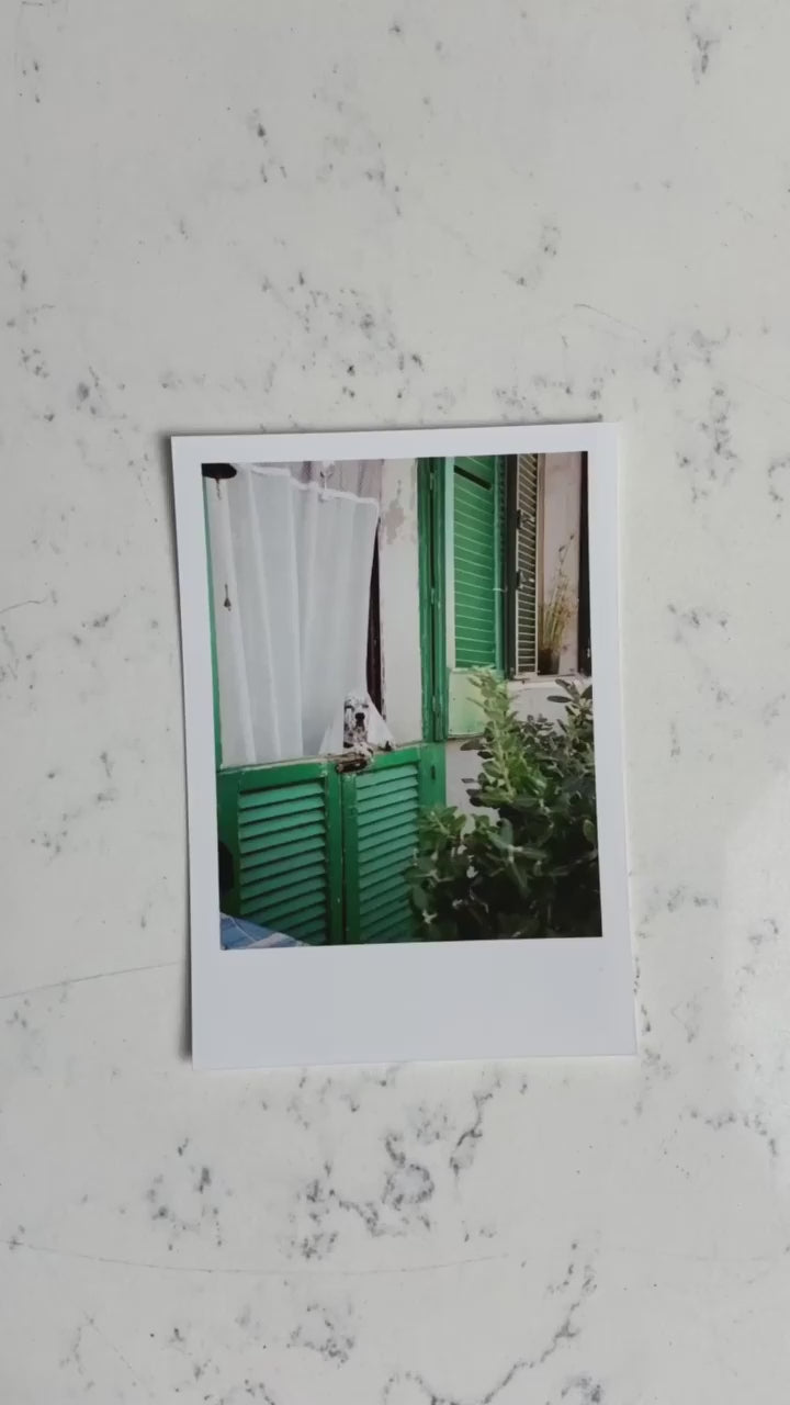 Polaroids
